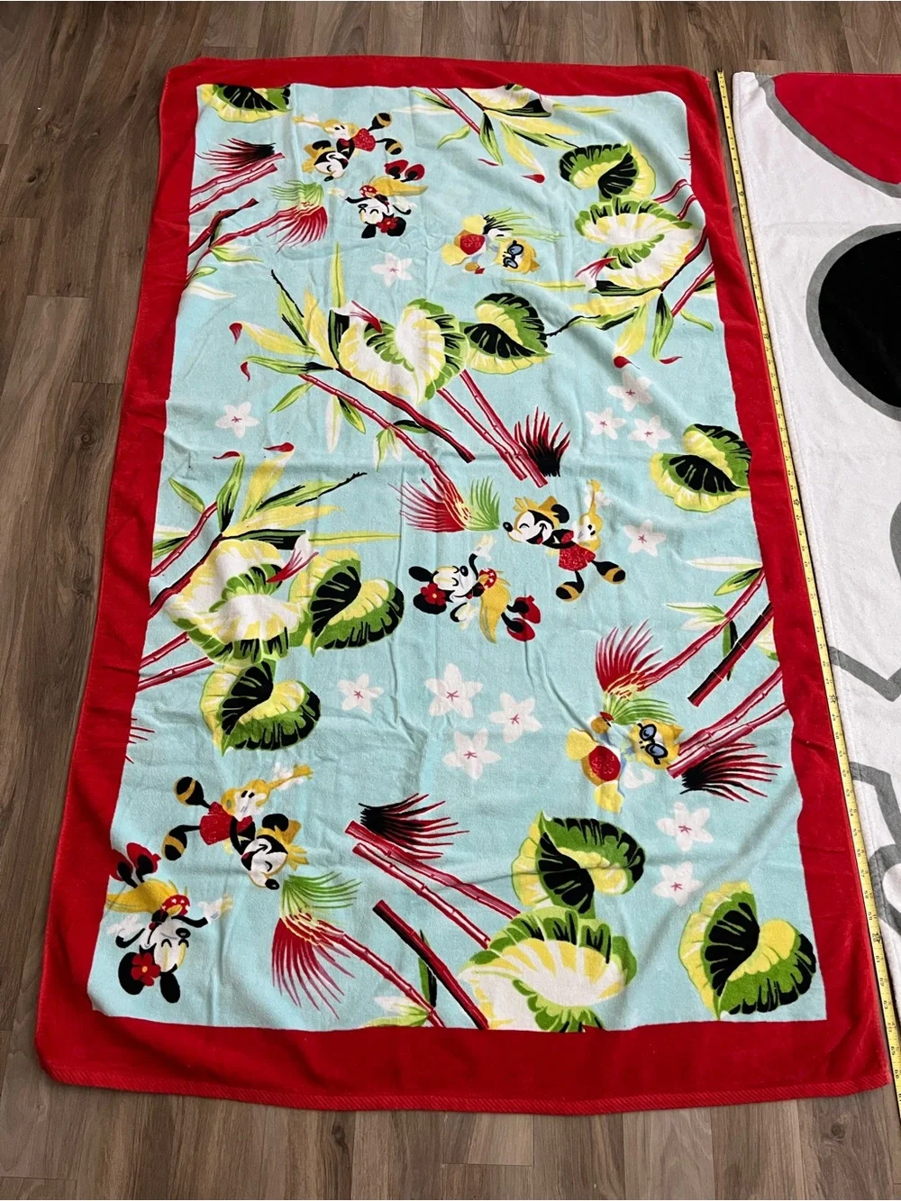 Disney beach towels (Mickey and Minnie)